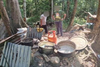 Namun aktiviti terbabit berjaya dibongkarkan apabila polis membuat serbuan di Bukit Selar, Kuala Balah, Jeli pada Selasa.
Foto:PDRM
