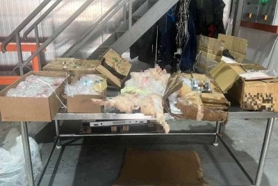 Pemeriksaan di premis berkenaan menemukan sejumlah karkas daging babi sejuk beku yang memiliki dokumen penyembelihan meragukan.
