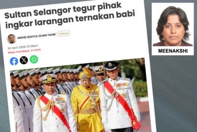 Laporan Sinar Harian pada Isnin berhubung titah Sultan Sharafuddin Idris Shah ke atas larangan ternakan babi di Selangor. 
