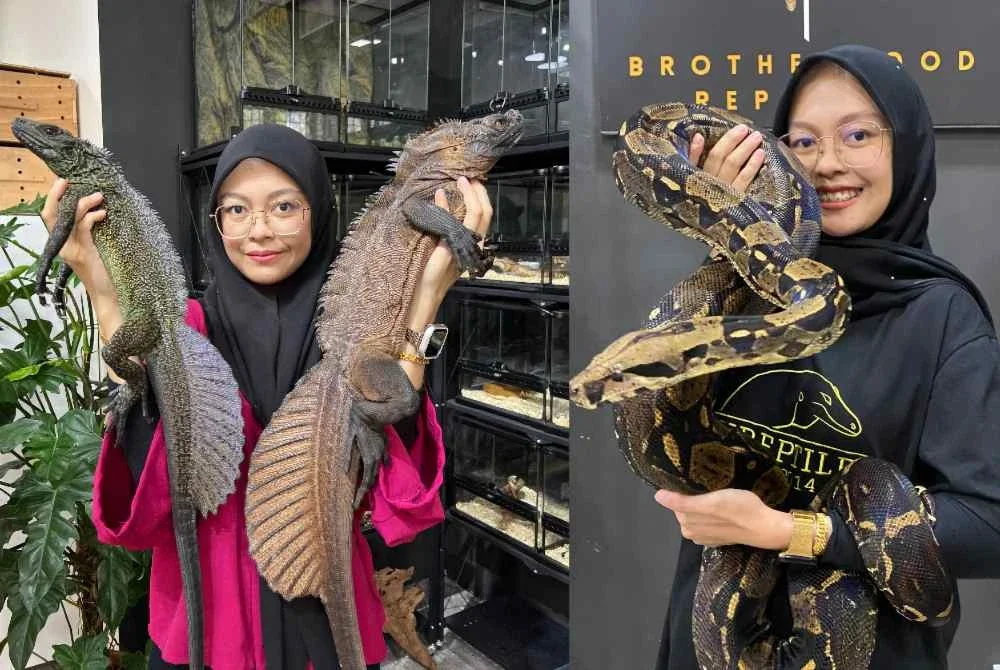 Nina berjaya mengatasi ketakutan secara berperingkat sehingga membawanya ke dunia perniagaan serta penjagaan haiwan eksotik.