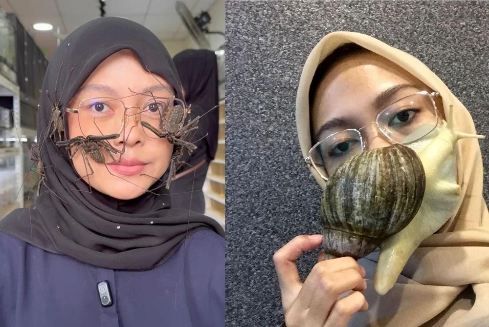 Keberanian Nina mengendalikan haiwan eksotik menerusi penstriman langsung di Facebook, TikTok dan YouTube mengundang perhatian warga maya.