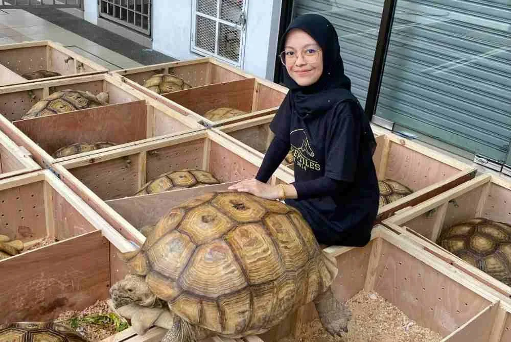 Nina membuka premis fizikal pada 2018 atas dasar minat mendalam terhadap haiwan peliharaan rare dan unik itu.