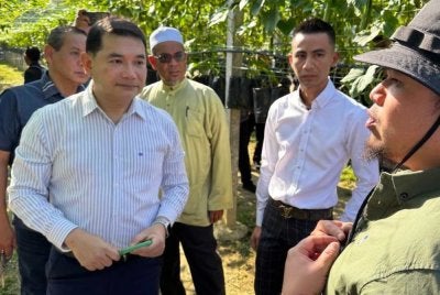 Rafizi (kiri) berkongsi gambar ketika beliau melawat sebuah kebun penanaman timun dipercayai di Seremban bersama Aminuddin (belakang Rafizi).