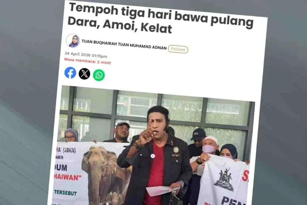 Laporan Sinar Harian mengenai isu tiga gajah Asia dikenali sebagai Dara, Amoi dan Kelat.