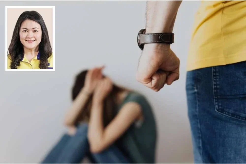 Wanita MCA mencadangkan kerajaan mewujudkan sistem amaran dan pangkalan data khas bagi merekod pesalah keganasan rumah tangga. Gambar kecil: Quin Er
