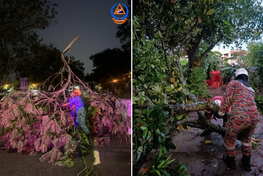 Beberapa kejadian pokok tumbang dilaporkan berlaku di Bertam, Kepala Batas dalam kejadian ribut pada petang Khamis.