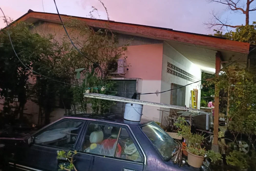 Beberapa buah rumah juga ditimpa pokok tumbang.