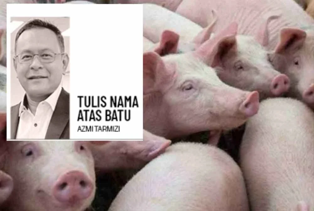 Penternakan babi, walau secanggih mana pun sistemnya tetap membawa risiko pencemaran air, pelepasan bau serta ancaman kesihatan awam jika berlaku kegagalan pengurusan.
