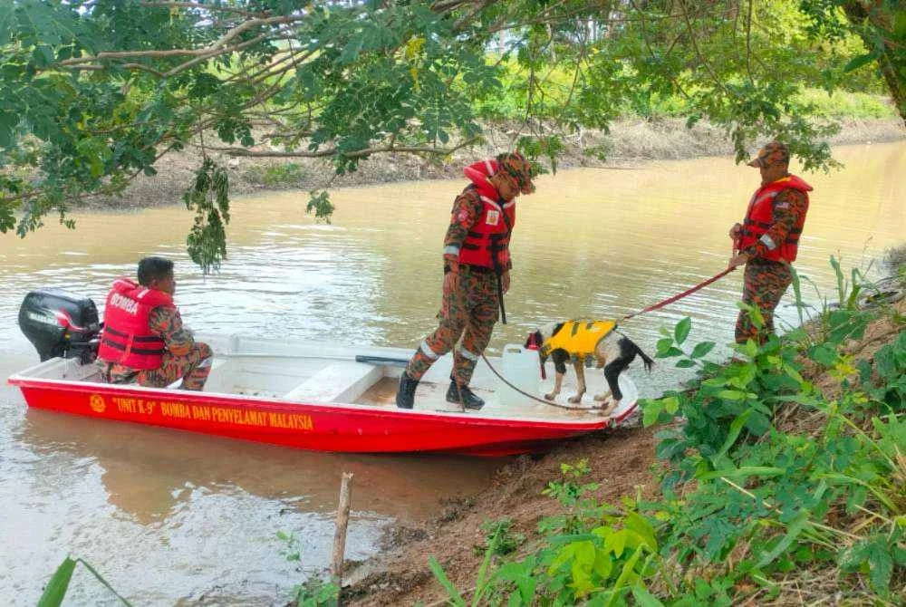 Operasi pencarian turut dibantu Unit K9 JBPM dan PDRM.