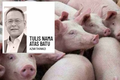 Penternakan babi, walau secanggih mana pun sistemnya tetap membawa risiko pencemaran air, pelepasan bau serta ancaman kesihatan awam jika berlaku kegagalan pengurusan.