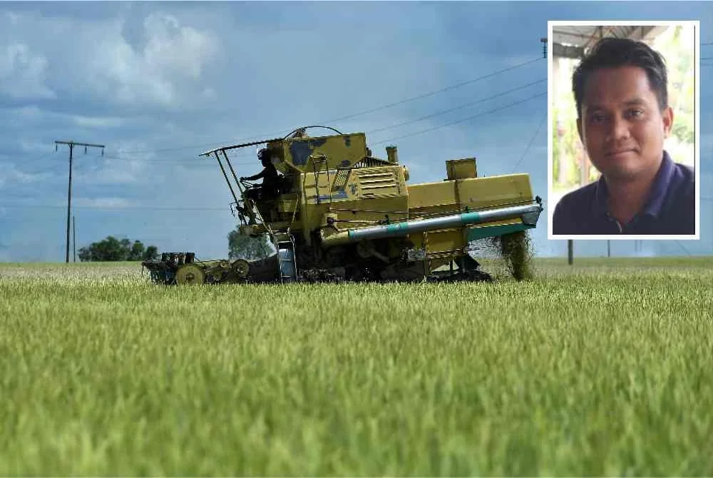 PeSAWAH sambut baik cadangan untuk menaikkan harga lantai belian padi kepada RM3,000 bagi setiap tan metrik seperti ditawarkan PN. - Foto hiasan/Bernama. Gambar kecil: Nur Fitri
