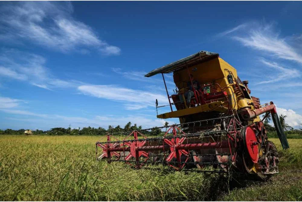 Kerajaan bersetuju membayar wang pendahuluan Kadar Khas Inisiatif Pembajakan berjumlah RM200 kepada pesawah. Foto Bernama