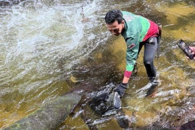 Mangsa ditemukan di sungai selepas tergelincir. Foto PDRM