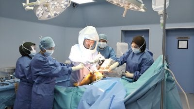 Teknologi pembedahan berbantukan robotik membantu penjajaran implan yang lebih tepat dan perancangan pembedahan diperibadikan, sekali gus menyokong hasil klinikal serta mobiliti pesakit yang lebih baik.