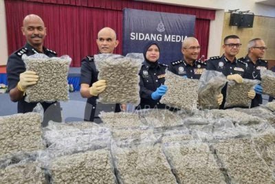Shazeli (dua kiri) menunjukkan dadah bunga ganja yang dirampas.