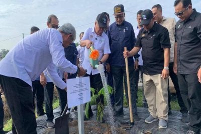 Mohamad (tengah) menanam pokok petai sebagai simbolik ketika merasmikan Program Kampung Angkat Madani, Kampung Guar Petai di Tasek Gelugor pada Jumaat.