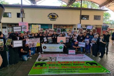 Sebahagian peserta mewakili beberapa NGO menghadiri Himpunan Solidariti Bersama DAK di ZTNS di Taiping pada Sabtu.