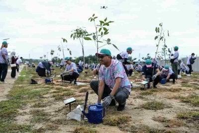 Yang Dipertua Majlis Perbandaran Kulim Kedah (MPKK), Datuk Elmi Yusoff menanam pokok Tekoma bersama kakitangan MPKK pada Program Jom Tanam:"1 Warga MPKK 1 Pokok" di Kulim Hi-Tech Park hari ini. Foto Bernama