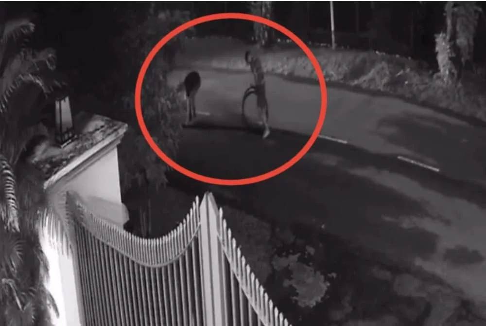 Tangkap layar rakaman CCTV tular memaparkan sekumpulan lelaki disyaki melakukan curi kabel di Seksyen 2, Shah Alam.
