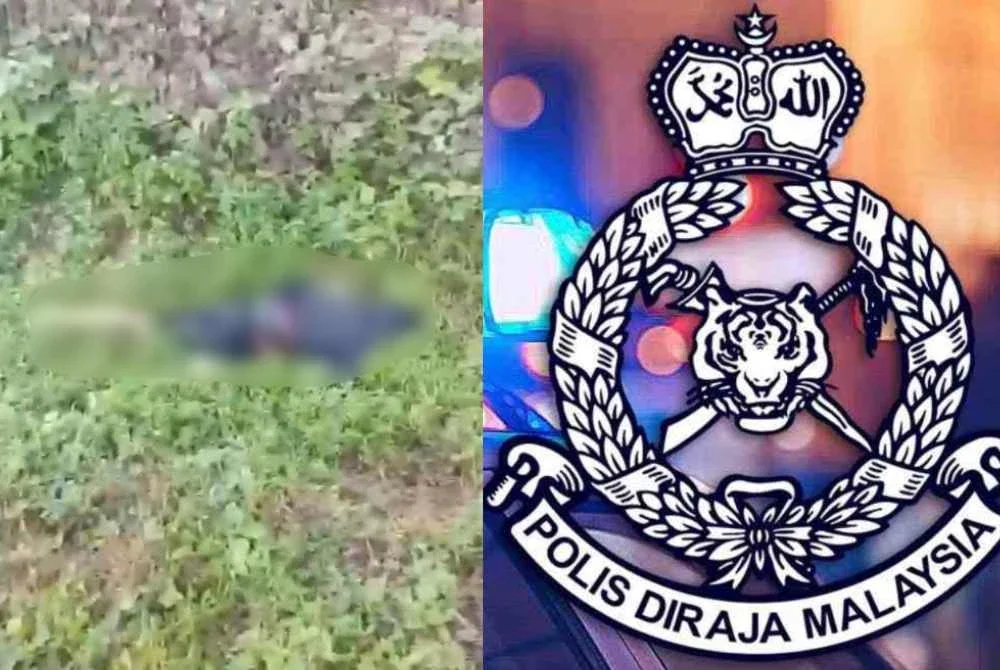 Mangsa ditemukan di tepi jalan dipercayai selepas terlibat dalam kemalangan di Kilometer 85, Jalan Sapi Nangoh-Botition, Beluran.