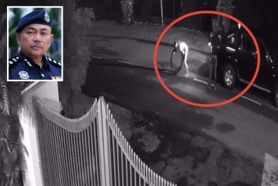 Tangkap layar rakaman CCTV tular memaparkan sekumpulan lelaki disyaki melakukan curi kabel di Seksyen 2, Shah Alam. Gambar kecil: Ramsay