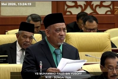 Ketua Pembangkang Pulau Pinang, Muhammad Fauzi 