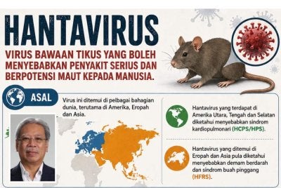 Hantavirus yang dikaitkan dengan strain Andes, satu jenis jangkitan jarang berlaku tetapi boleh membawa maut. Gambar kecil: Dr Sazaly