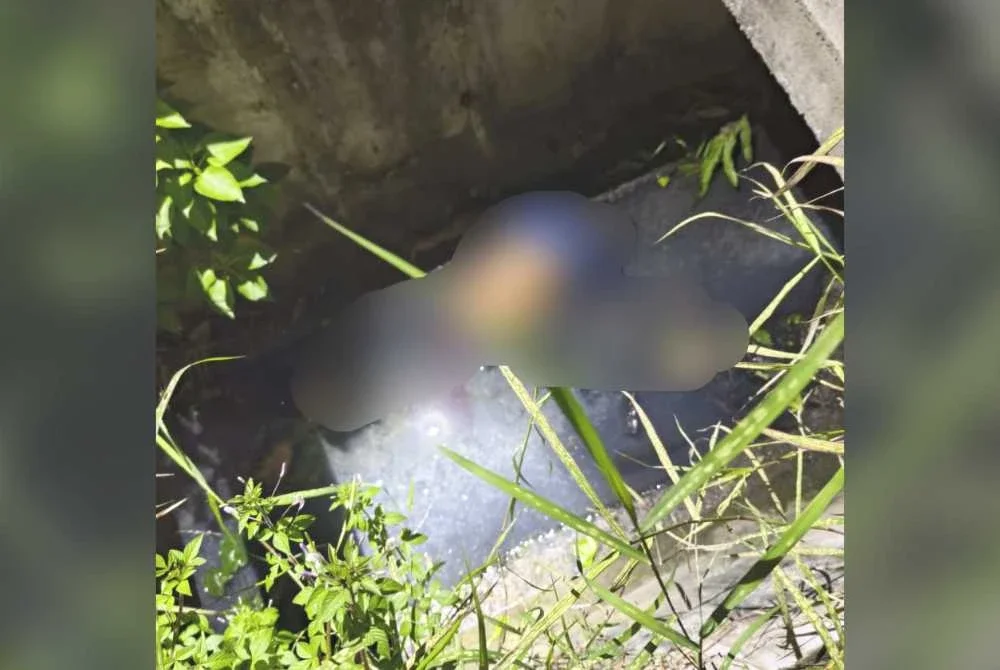Mangsa dipercayai tercampak ke dalam longkang akibat dirempuh sebuah kenderaan.