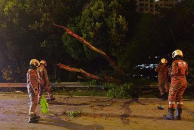 Seorang lelaki maut selepas motosikal ditunggangnya merempuh sebatang pokok tumbang di Lebuhraya Pasir Gudang menghala ke Bandaraya Johor Bahru awal pagi Khamis. - Foto JBPM Johor