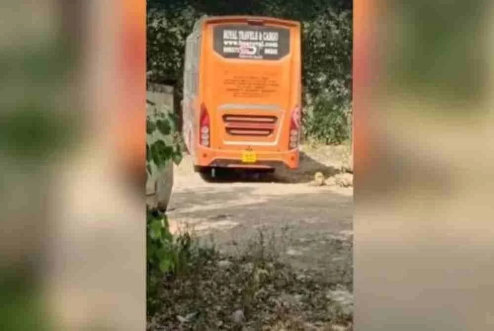 Wanita dicampak keluar selepas diperkosa bergilir-gilir dalam bas Wanita dicampak keluar selepas diperkosa bergilir-gilir dalam bas