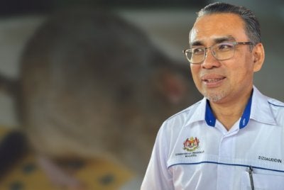 Mohammad Dziauddin