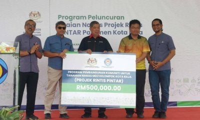 Mohamad (tengah) menyerahkan replika cek kepada salah seorang penerima pada Program Peluncuran Tuaian Nanas di Projek Rintis Pintar Parlimen Kota Raja.
