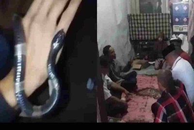 Seorang remaja maut dipatuk ular dalam kejadian di Desa Pasir Jaya, Bogor Barat, Jawa Barat, pada Selasa malam.