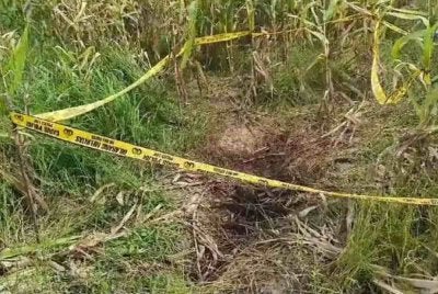 Jasad mangsa yang tidak bernyawa ditemui oleh seorang petani. Foto Agensi