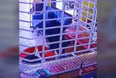 Tangkap layar daripada rakaman CCTV memaparkan tindakan lelaki berkenaan yang membawa lari barangan kemas di sebuah kedai emas di Kepala Batas kini tular di media sosial.