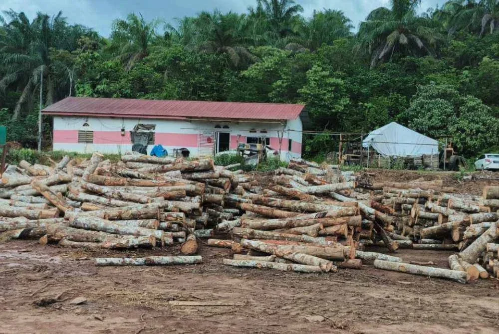 Seorang lelaki tempatan berusia lingkungan 50-an yang dipercayai pemilik premis turut ditahan bagi membantu siasatan. - Foto: PGA