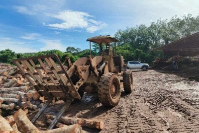 OBK yang dijalankan pada Selasa di Jeniang menyaksikan rampasan pelbagai mesin, jentera dan kayu balak yang dianggarkan bernilai RM4,338,545. - Foto: PGA