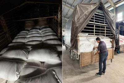 Muatan beras yang disita dalam dua buah lori yang ditahan di Pendang pada Khamis. - FOTO: Kawalselia Padi dan Beras Kedah