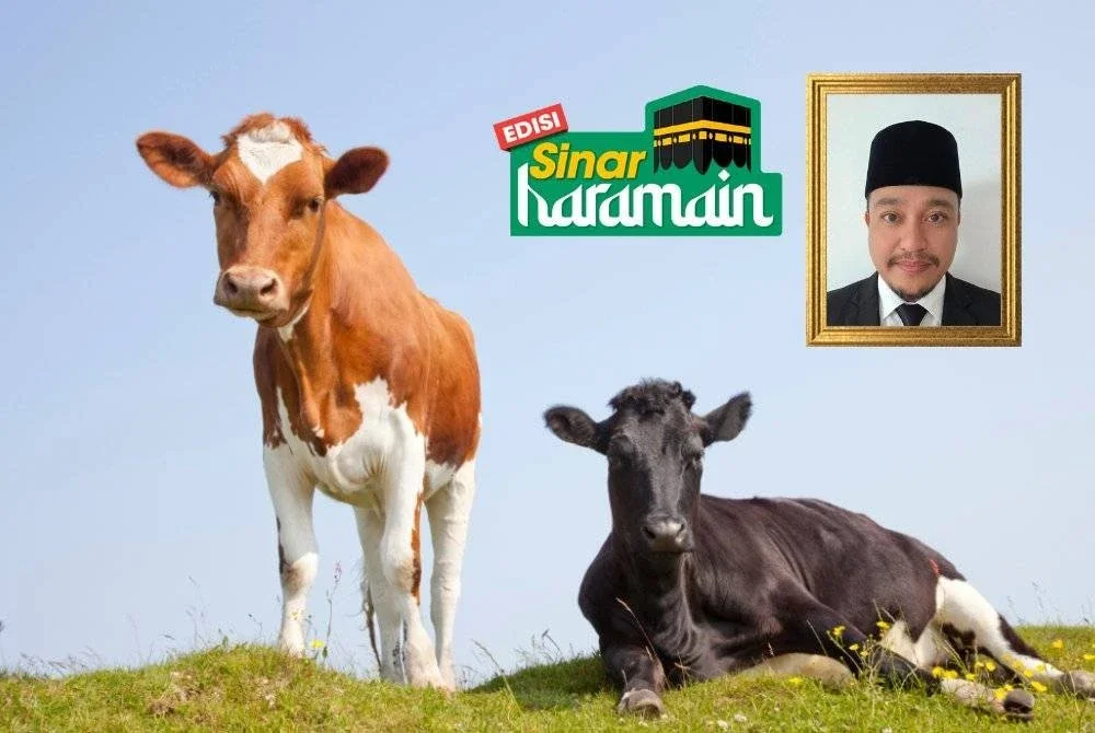KORBAN merupakan ibadah yang sangat dituntut buat umat Islam. Foto Canva/Gambar kecil: USTAZ MOHD HAFIDZ