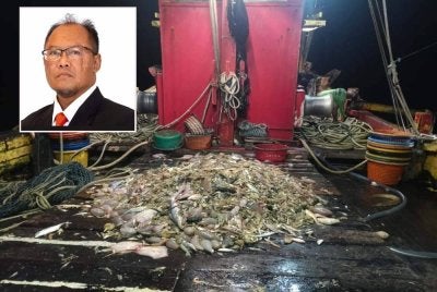 Antara hasil laut yang dicuri di kawasan Taman Laut. Gambar kecil : Adnan Hussain