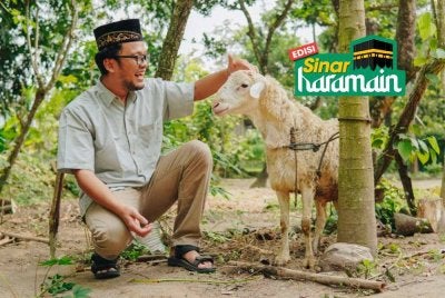 PENGURUSAN ibadah korban yang baik mengambil kira semua aspek dari awal hingga selesai agihan. Foto Canva