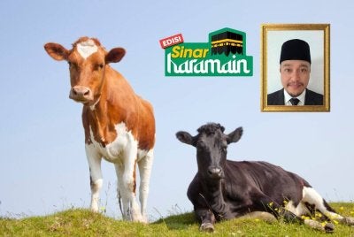 KORBAN merupakan ibadah yang sangat dituntut buat umat Islam. Foto Canva/Gambar kecil: USTAZ MOHD HAFIDZ
