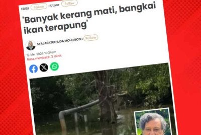 Sinar Harian sebelum ini melaporkan kira-kira 100 penternak kerang dan nelayan di Kampung Kuala Juru, Seberang Perai Tengah berdepan kebimbangan apabila pencemaran Sungai Juru didakwa semakin serius sejak setahun lalu sehingga menjejaskan sumber pendapatan mereka.
