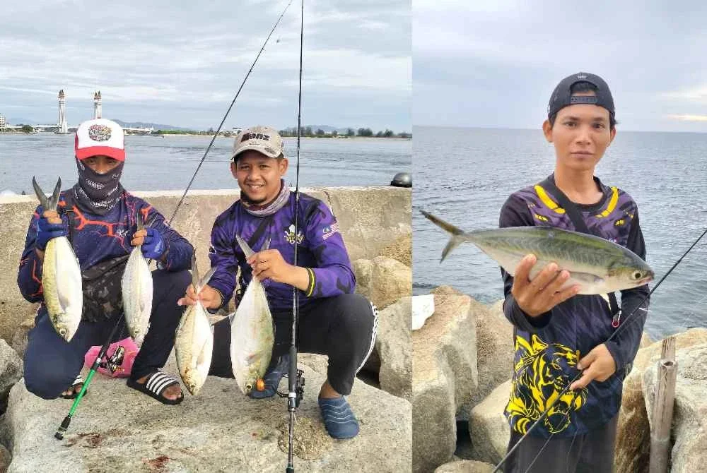 Ikan selar papan yang berjaya dinaikkan oleh kaki pancing di kawasan Jambatan Angkat (Drawbridge) di Kuala Terengganu.