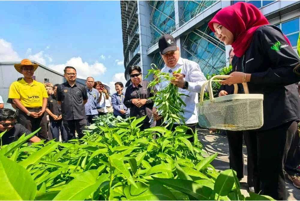 Mohamad memetik sayur-sayuran selepas merasmikan Pusat Informasi Pertanian Kebuniti (Gardentopia) di Wisma Tani. Foto Bernama