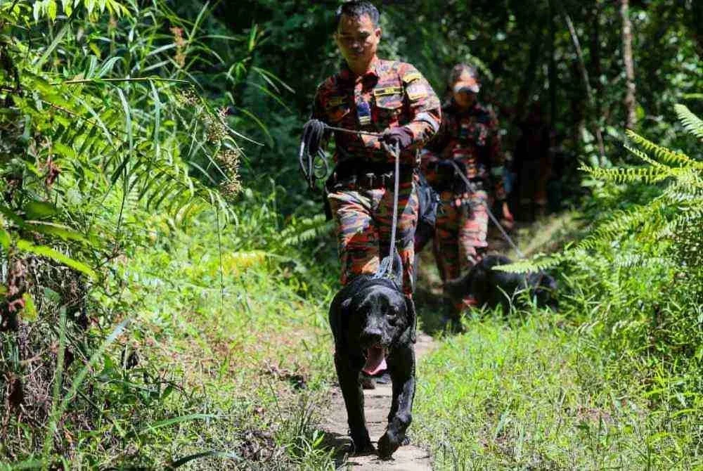 Operasi mencari dan menyelamat (SAR) remaja perempuan, Nur Izzati Humaira Azizul, 19, yang dipercayai hilang ketika melakukan aktiviti pendakian di Bukit Changkat Asa Sabtu lepas, diperluaskan melibatkan kawasan seluas 0.5 kilometer persegi..Foto Bernama.