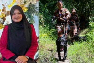 Seorang remaja perempuan yang dilaporkan hilang selepas dipercayai tersesat ketika menuruni Bukit Changkat Asa sejak Sabtu lalu ditemukan meninggal dunia hari ini.
