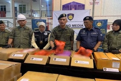Mohd Shuhaily menunjukkan bungkusan ayam sejuk beku yang dirampas AKPD di Pelabuhan Sepanggar, Kota Kinabalu.