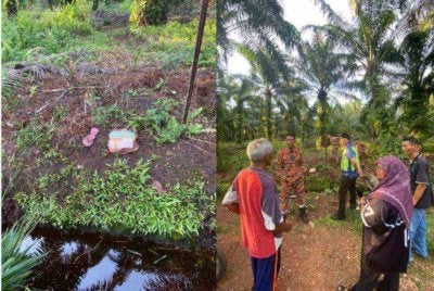 Operasi mencari dan menyelamat (SAR) seorang wanita warga emas berusia 77 tahun yang dilaporkan hilang di kawasan kebun kelapa sawit Kampung Medan Sari, Pontian masih giat dijalankan anggota bomba dan agensi terlibat.