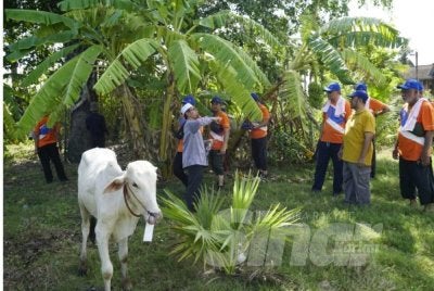 Keadaan ibadah korban di Masjid An-Nur Kampot Kemboja.